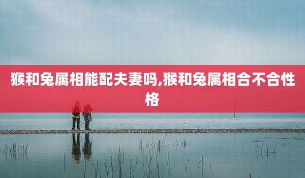 猴和兔属相能配夫妻吗,猴和兔属相合不合性格