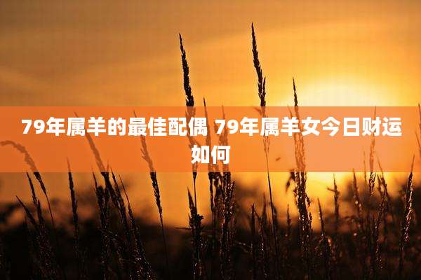 79年属羊的最佳配偶 79年属羊女今日财运如何