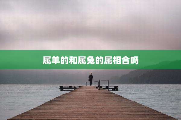 属羊的和属兔的属相合吗
