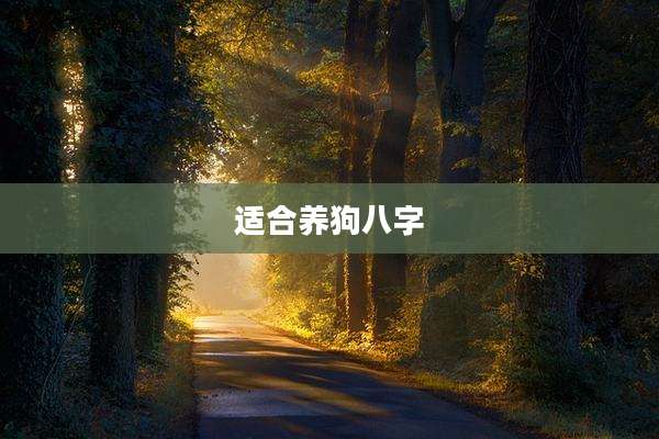 适合养狗八字