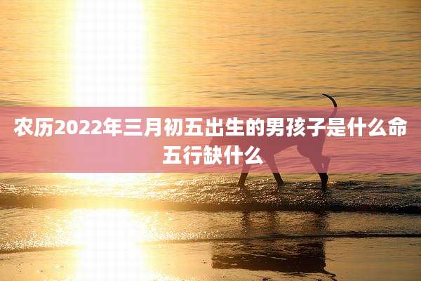 农历2022年三月初五出生的男孩子是什么命 五行缺什么