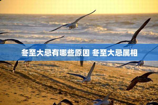 冬至大忌有哪些原因 冬至大忌属相