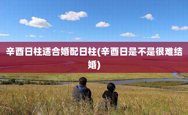 辛酉日柱适合婚配日柱(辛酉日是不是很难结婚)