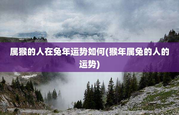 属猴的人在兔年运势如何(猴年属兔的人的运势)