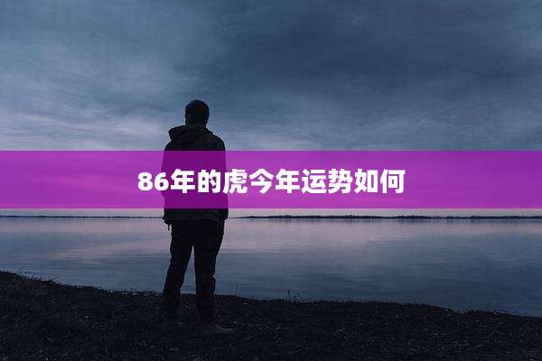 86年的虎今年运势如何