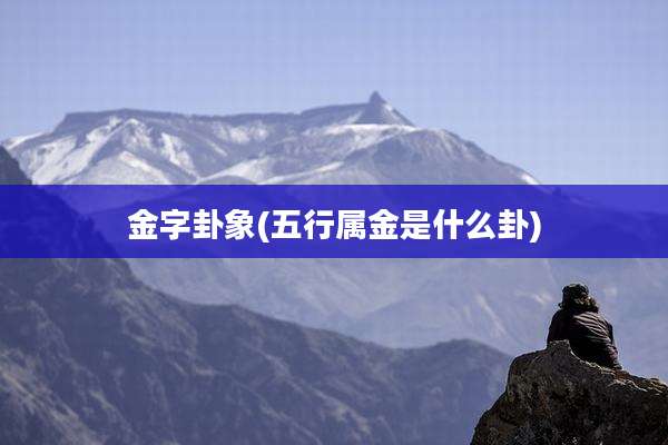 金字卦象(五行属金是什么卦)