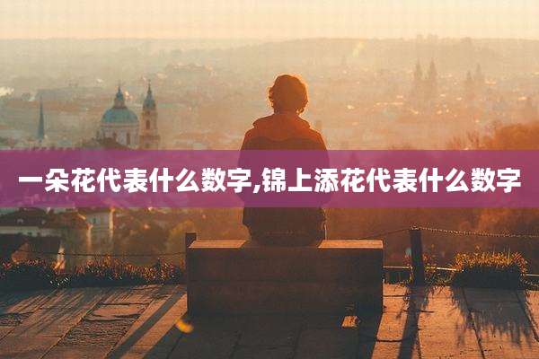 一朵花代表什么数字,锦上添花代表什么数字