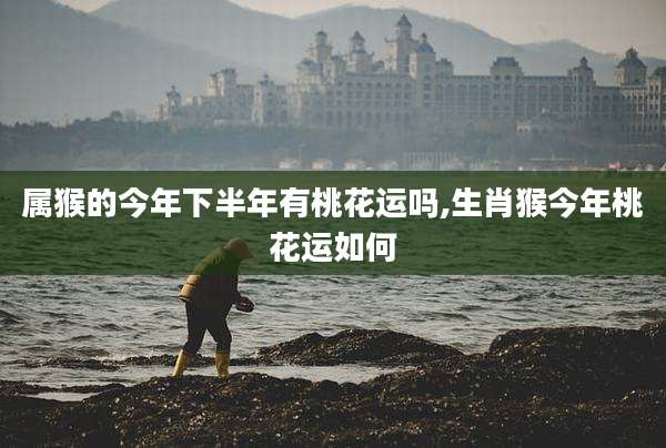 属猴的今年下半年有桃花运吗,生肖猴今年桃花运如何