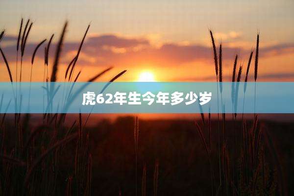 虎62年生今年多少岁