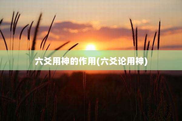 六爻用神的作用(六爻论用神)