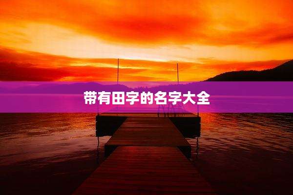 带有田字的名字大全