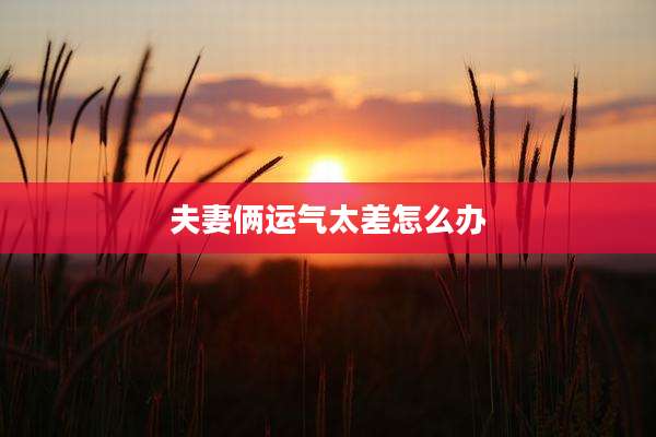 夫妻俩运气太差怎么办