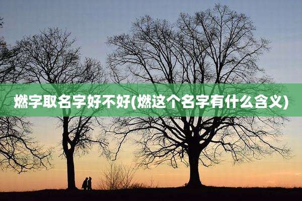 燃字取名字好不好(燃这个名字有什么含义)