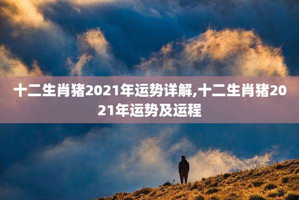 十二生肖猪2021年运势详解,十二生肖猪2021年运势及运程