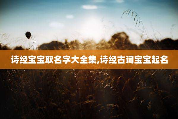 诗经宝宝取名字大全集,诗经古词宝宝起名