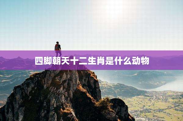 四脚朝天十二生肖是什么动物
