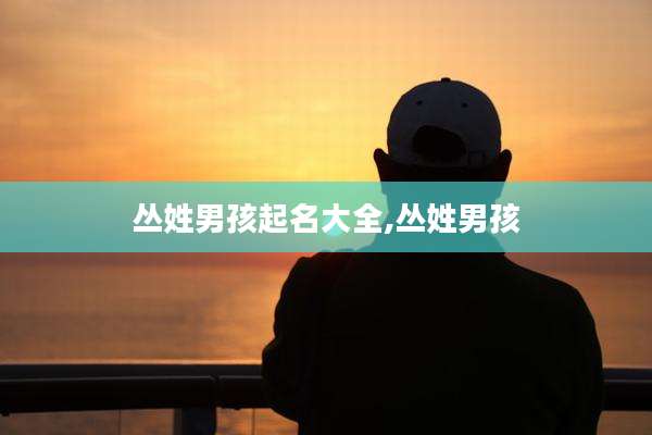 丛姓男孩起名大全,丛姓男孩