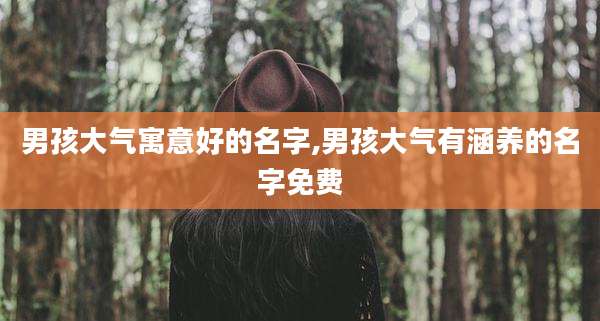 男孩大气寓意好的名字,男孩大气有涵养的名字免费