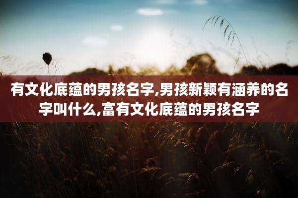 有文化底蕴的男孩名字,男孩新颖有涵养的名字叫什么,富有文化底蕴的男孩名字