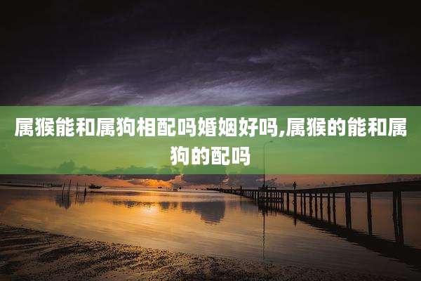 属猴能和属狗相配吗婚姻好吗,属猴的能和属狗的配吗