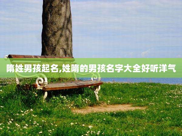 隋姓男孩起名,姓隋的男孩名字大全好听洋气