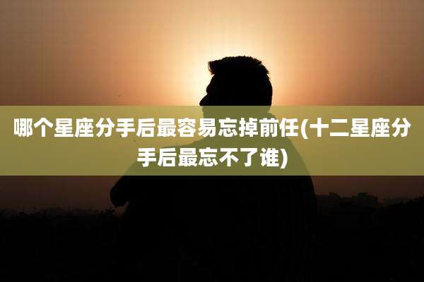 哪个星座分手后最容易忘掉前任(十二星座分手后最忘不了谁)