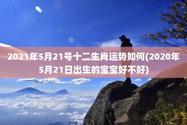 2021年5月21号十二生肖运势如何(2020年5月21日出生的宝宝好不好)