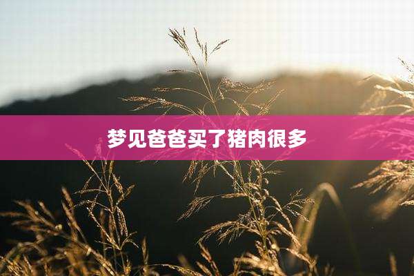 梦见爸爸买了猪肉很多