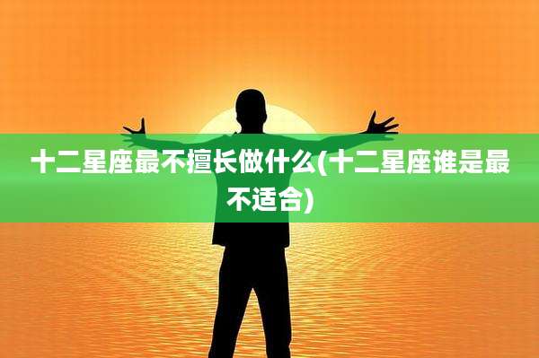 十二星座最不擅长做什么(十二星座谁是最不适合)