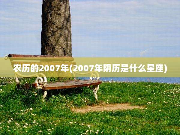 农历的2007年(2007年阴历是什么星座)