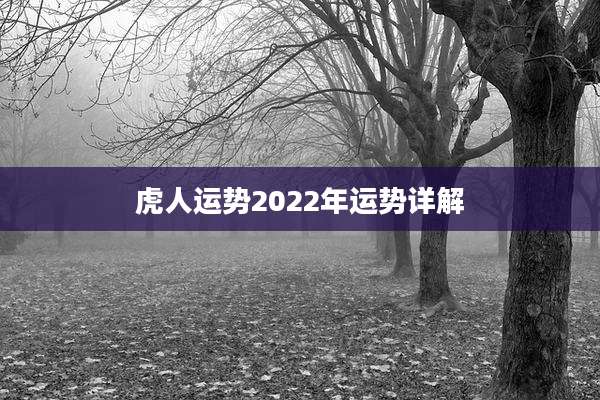 虎人运势2022年运势详解