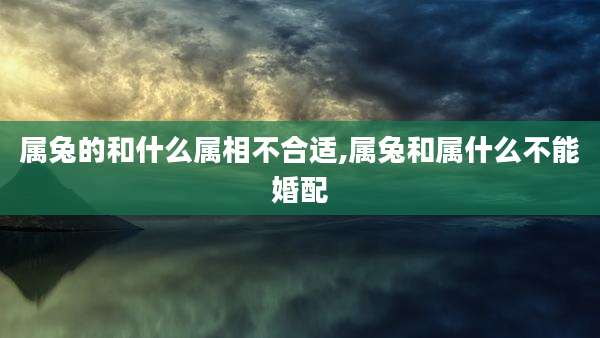 属兔的和什么属相不合适,属兔和属什么不能婚配