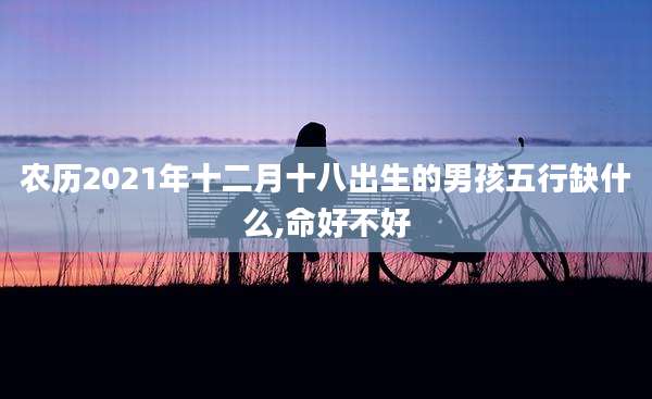 农历2021年十二月十八出生的男孩五行缺什么,命好不好