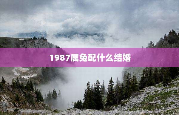 1987属兔配什么结婚
