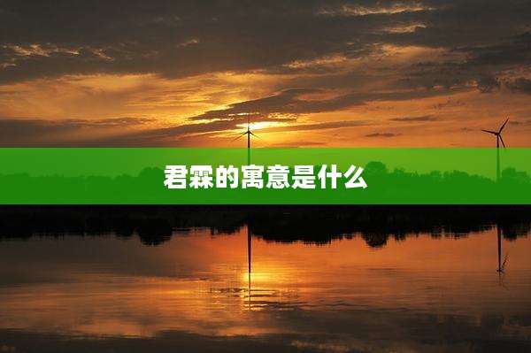 君霖的寓意是什么