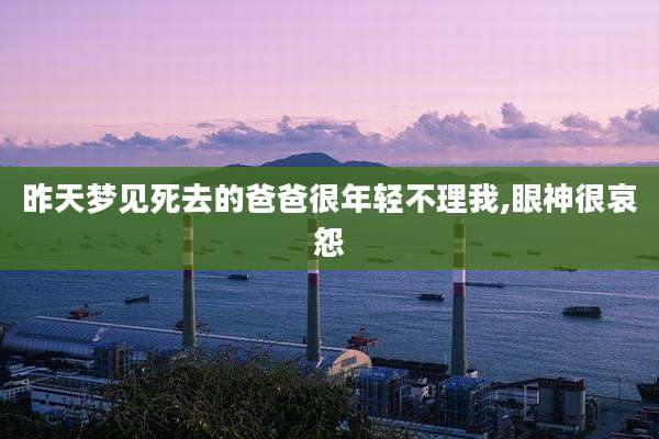 昨天梦见死去的爸爸很年轻不理我,眼神很哀怨