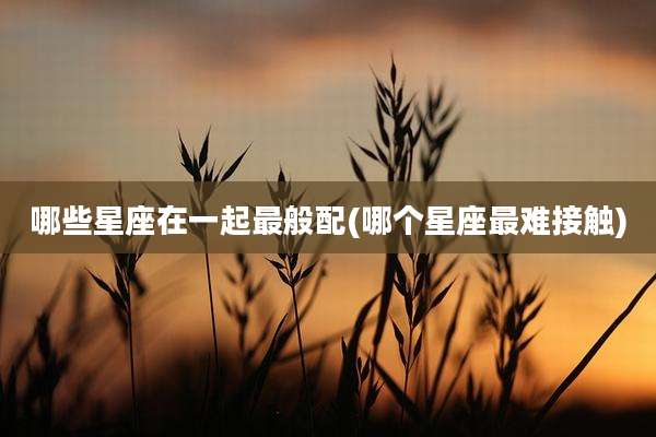 哪些星座在一起最般配(哪个星座最难接触)