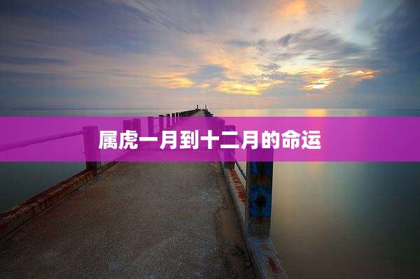 属虎一月到十二月的命运
