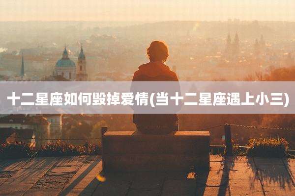 十二星座如何毁掉爱情(当十二星座遇上小三)