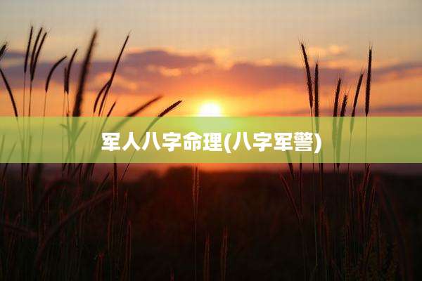 军人八字命理(八字军警)