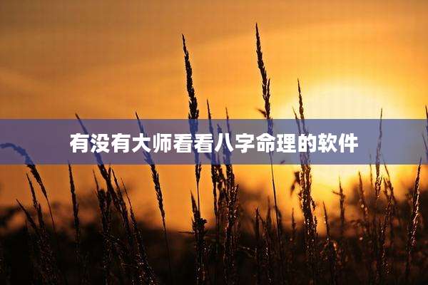 有没有大师看看八字命理的软件