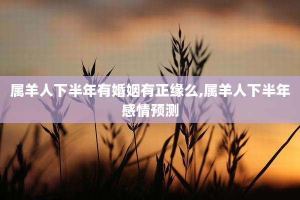 属羊人下半年有婚姻有正缘么,属羊人下半年感情预测