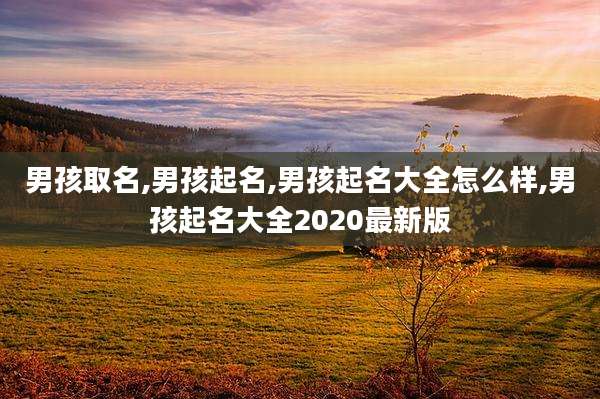 男孩取名,男孩起名,男孩起名大全怎么样,男孩起名大全2020最新版