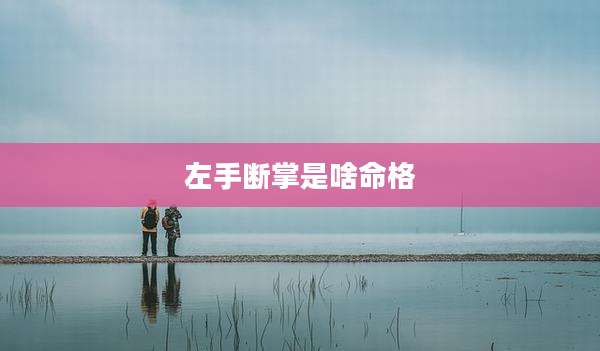 左手断掌是啥命格