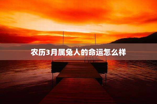 农历3月属兔人的命运怎么样