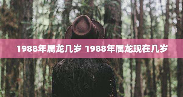 1988年属龙几岁 1988年属龙现在几岁
