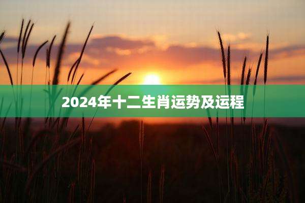 2024年十二生肖运势及运程