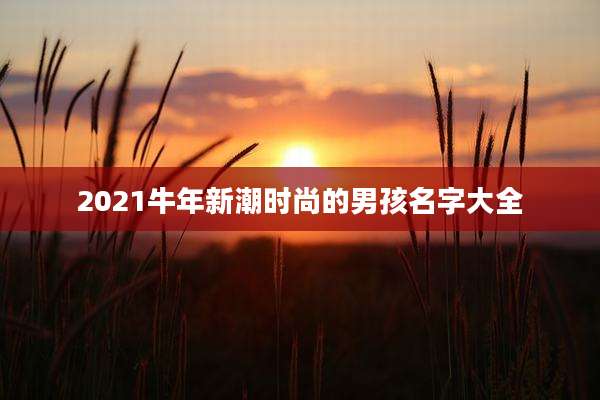 2021牛年新潮时尚的男孩名字大全