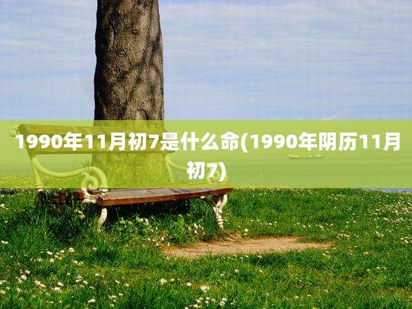 1990年11月初7是什么命(1990年阴历11月初7)
