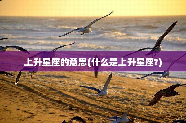 上升星座的意思(什么是上升星座?)